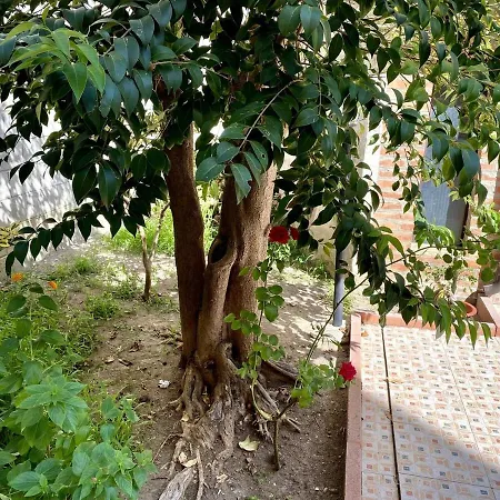 Il Giardino Segreto Apartmán